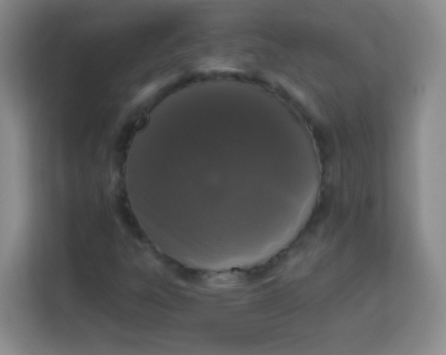 X0000113941303200910091614