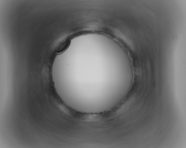 X0000113941304200910091614