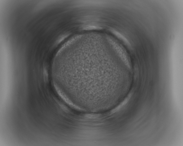 X0000113941305200910091614