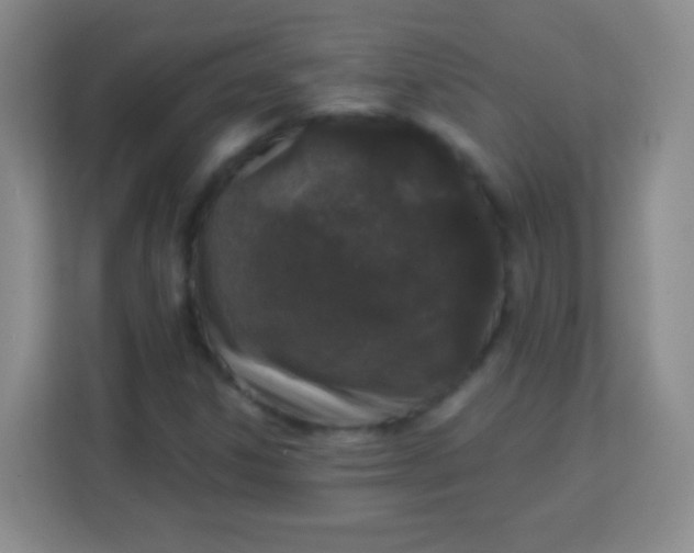 X0000113941306200910091615