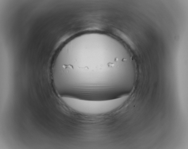 X0000113941308200910091615