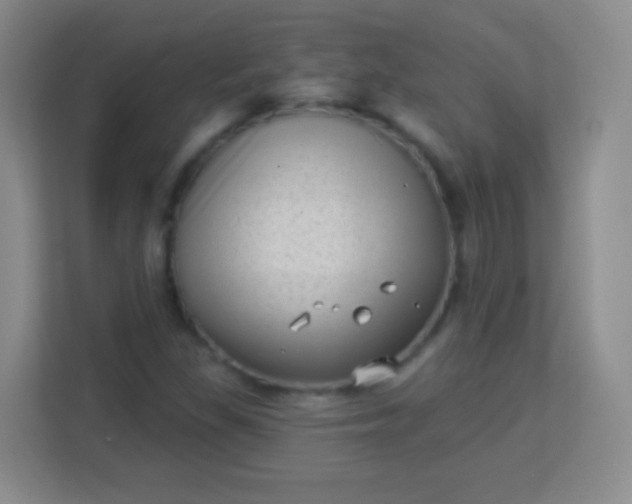 X0000113941309200910091615