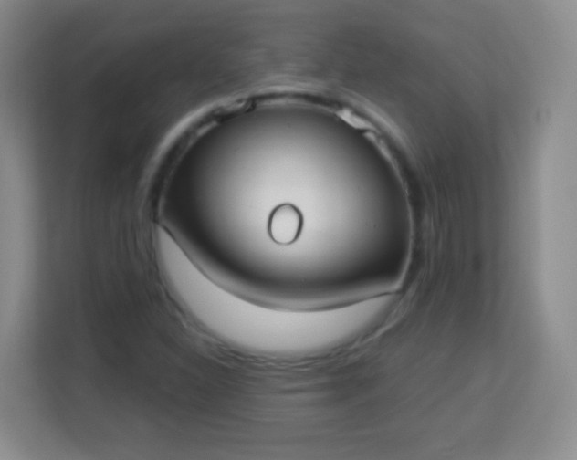 X0000113941310200910091615