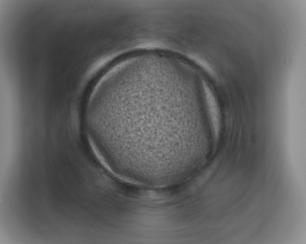 X0000113941311200910091615