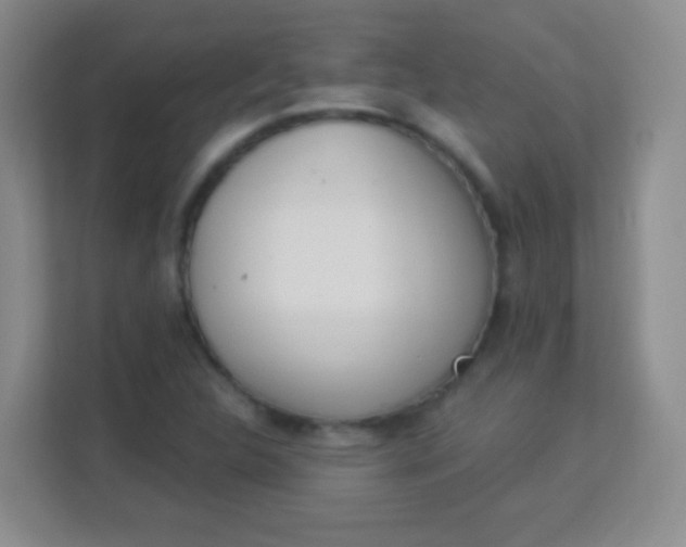 X0000113941312200910091615