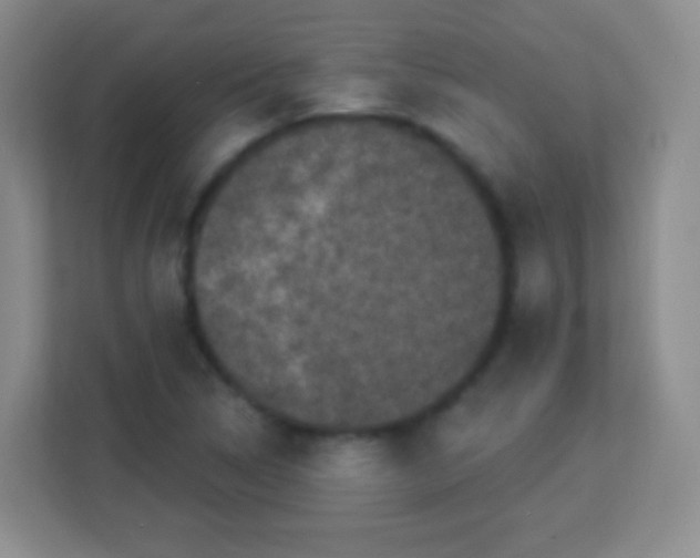 X0000113941314200910091615