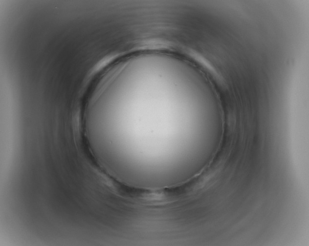 X0000113941315200910091615