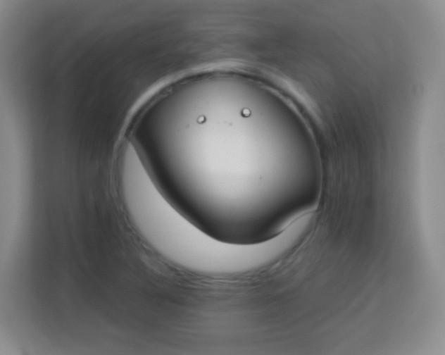 X0000113941316200910091615