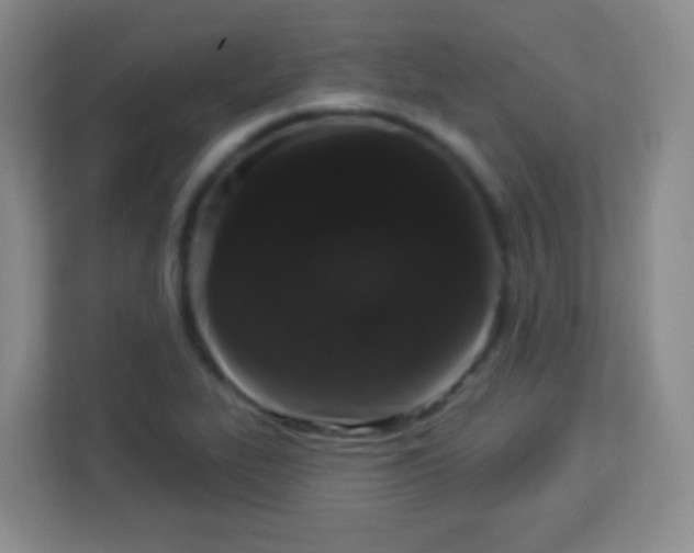 X0000113941319200910091615