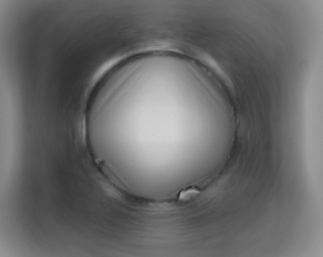 X0000113941320200910091615