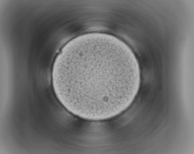 X0000113941322200910091615