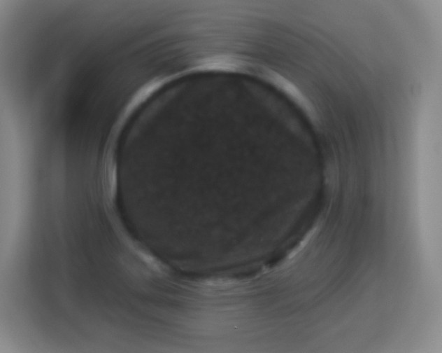 X0000113941323200910091615