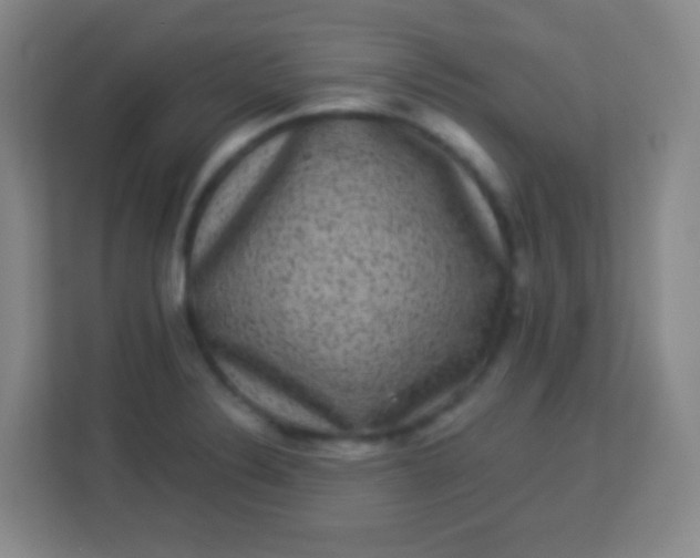 X0000113941324200910091615