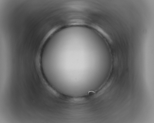 X0000113941325200910091615