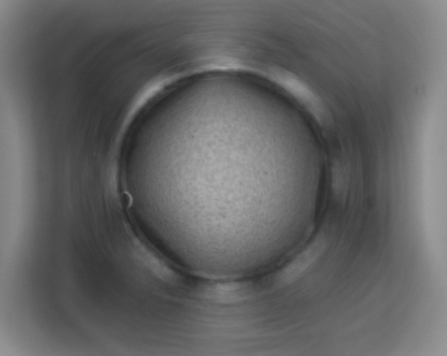 X0000113941326200910091615