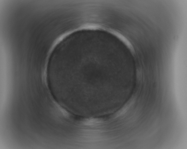 X0000113941327200910091615