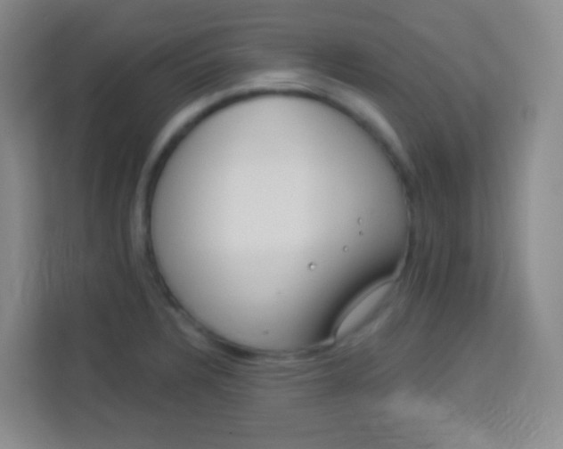 X0000113941328200910091615