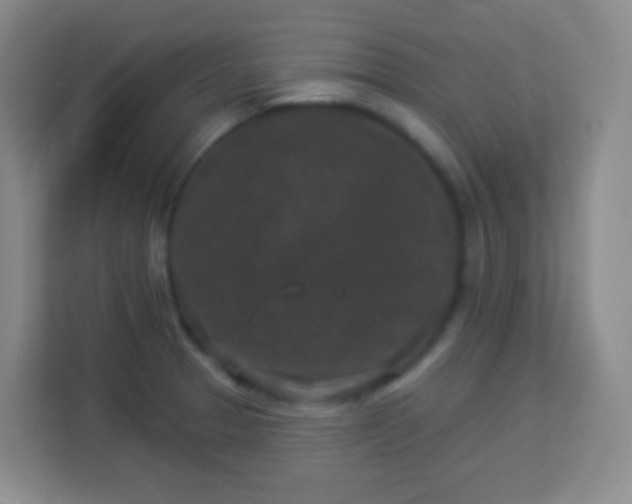 X0000113941329200910091615