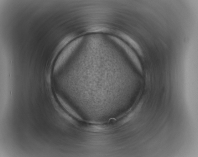 X0000113941330200910091615