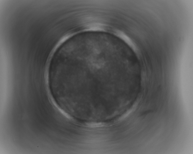 X0000113941331200910091615