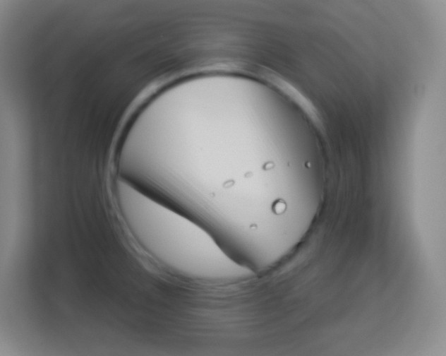 X0000113941332200910091615