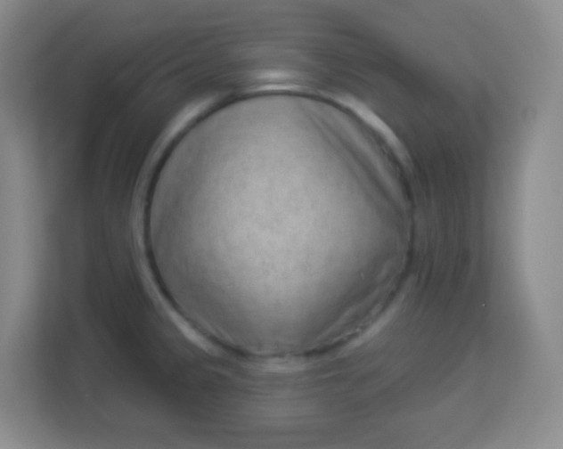 X0000113941333200910091615