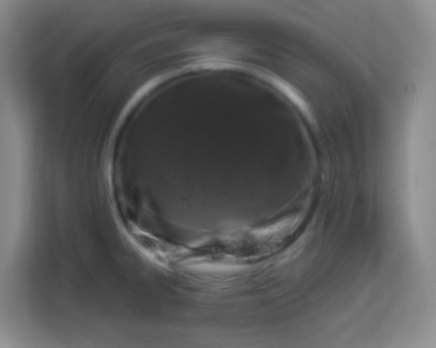 X0000113941334200910091615