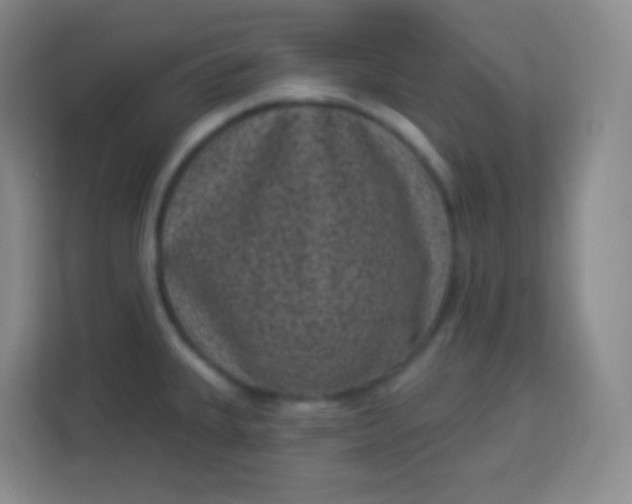 X0000113941335200910091615