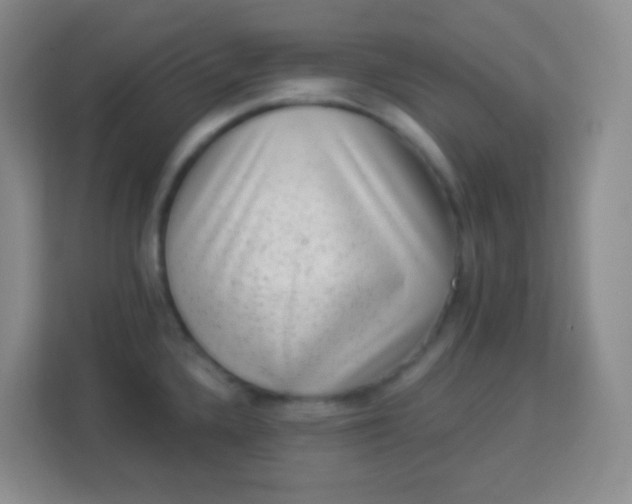 X0000113941336200910091615