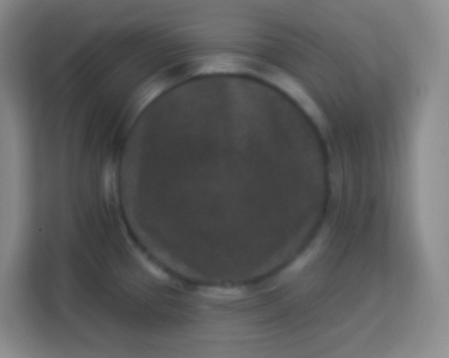 X0000113941337200910091615