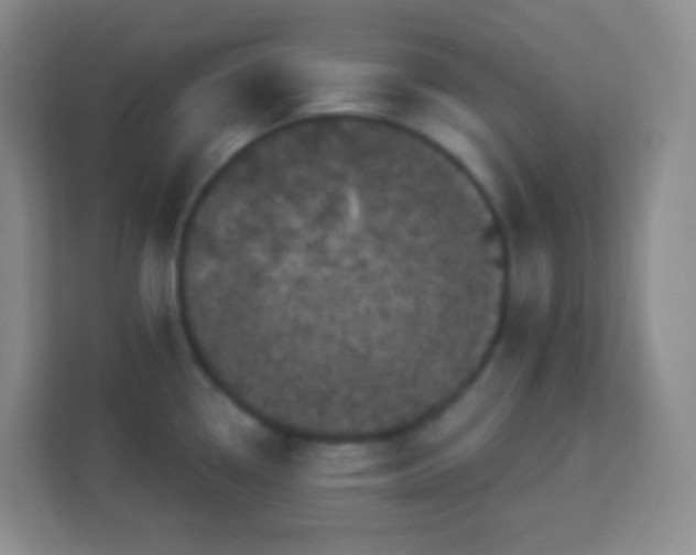 X0000113941338200910091615