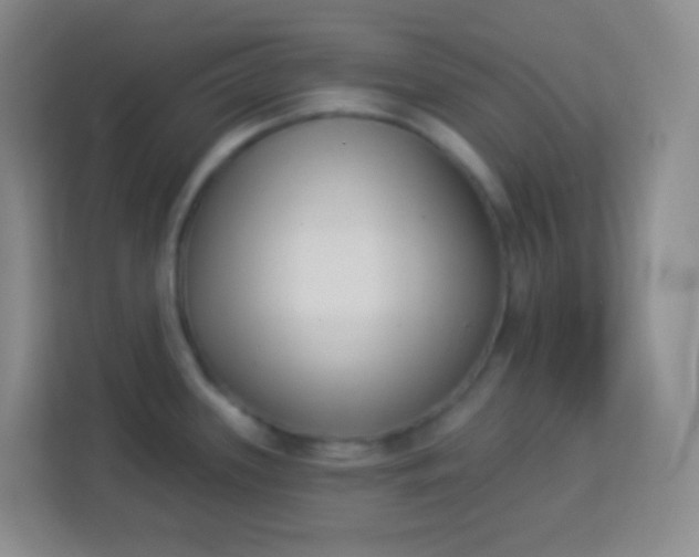 X0000113941339200910091615