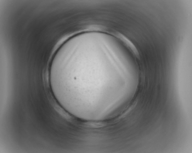 X0000113941340200910091615