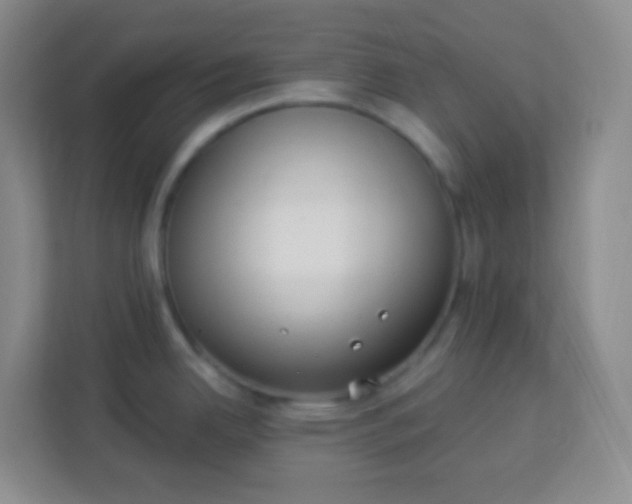 X0000113941342200910091615