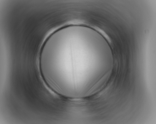 X0000113941343200910091615