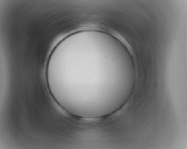 X0000113941344200910091615