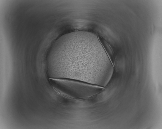 X0000113941345200910091614