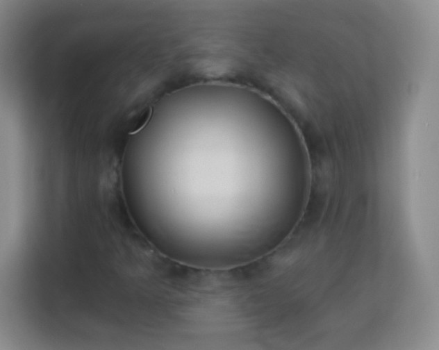 X0000113941349200910091614