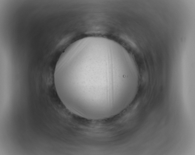 X0000113941350200910091614