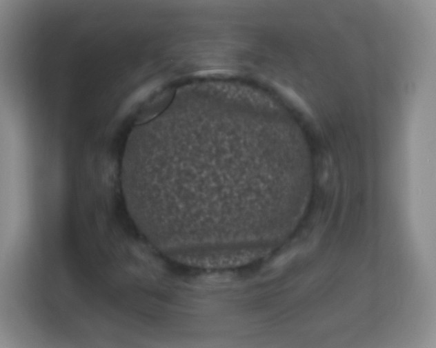 X0000113941351200910091614