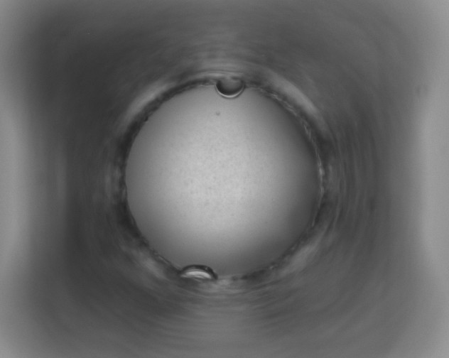 X0000113941352200910091614