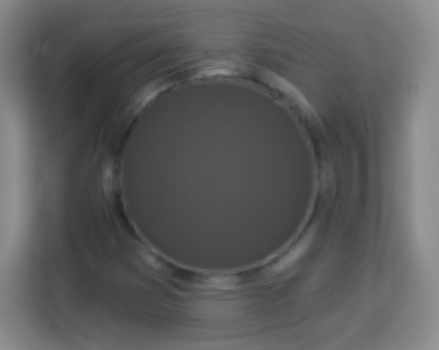 X0000113941353200910091614