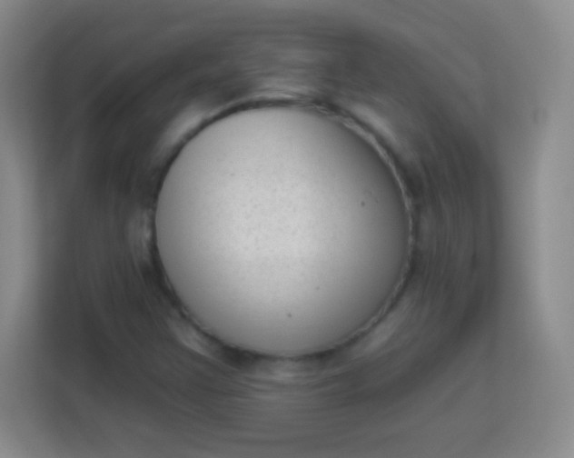 X0000113941355200910091614