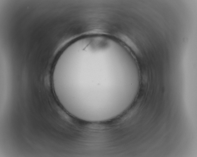 X0000113941356200910091614