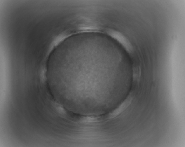 X0000113941357200910091614