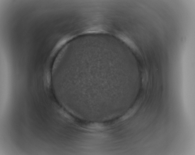 X0000113941358200910091614