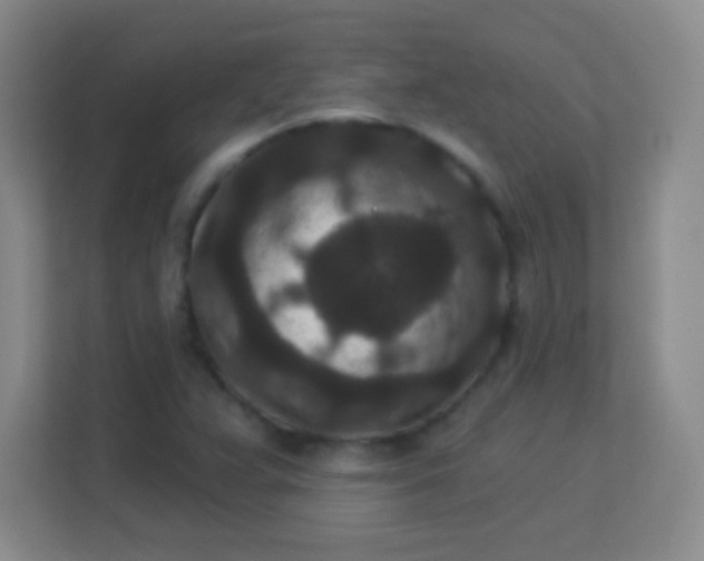 X0000113941359200910091614