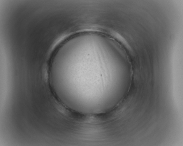 X0000113941360200910091614