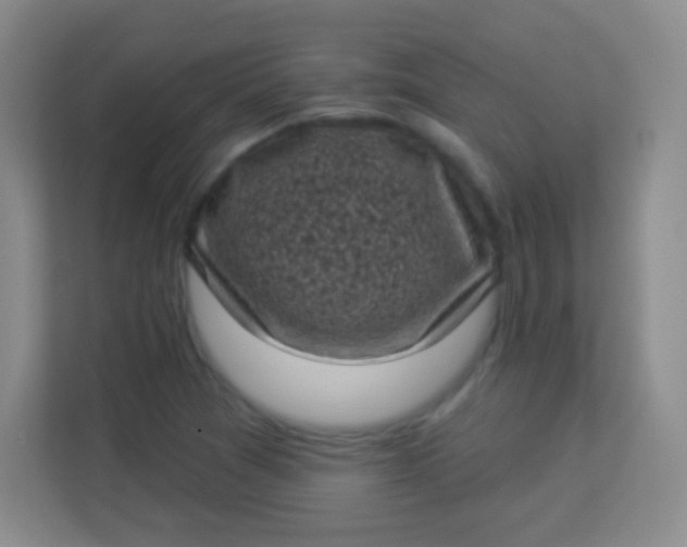 X0000113941361200910091614