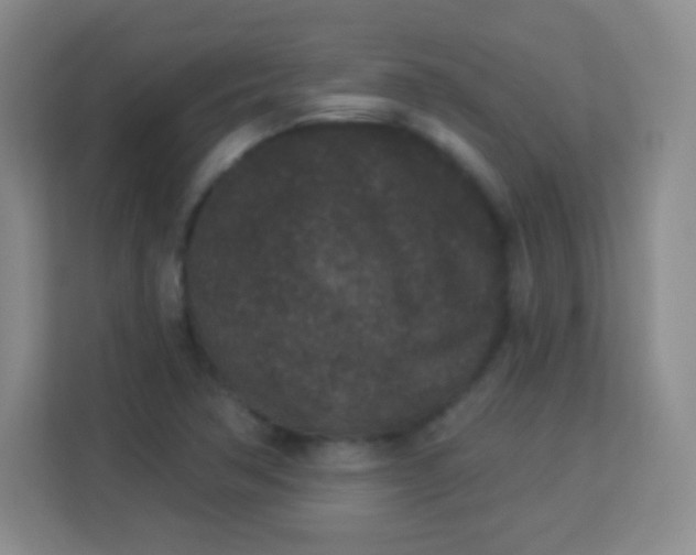 X0000113941362200910091614